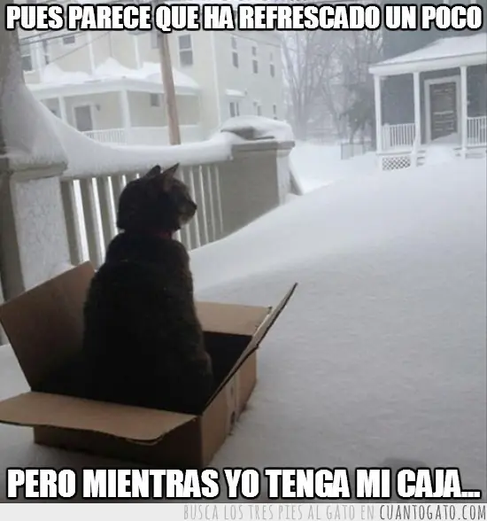 rescate