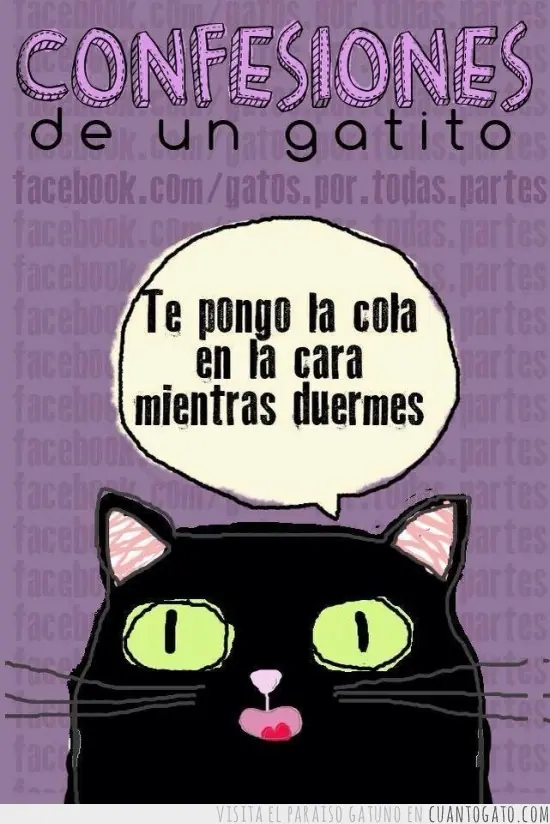 gatuno