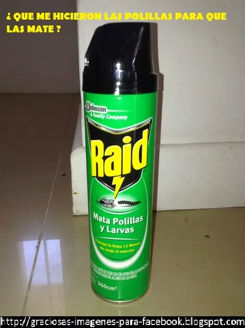 divertidas