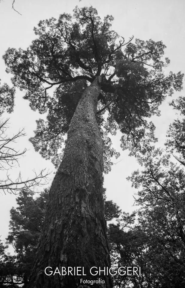 Viaje al Sur Argentino - Parte 1