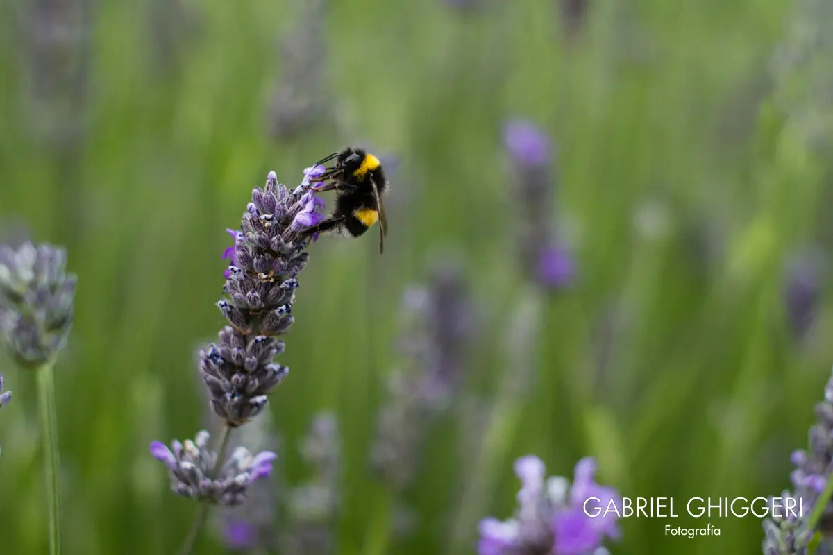 Viaje al Sur Argentino - Parte 1