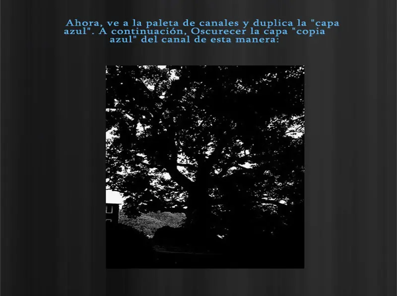 efecto