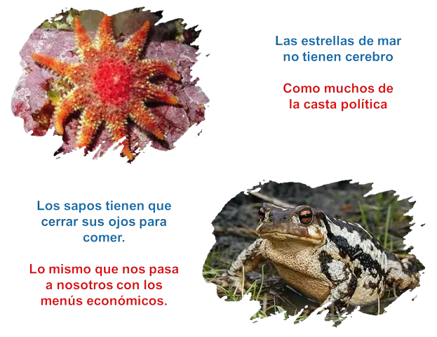 curiosidades