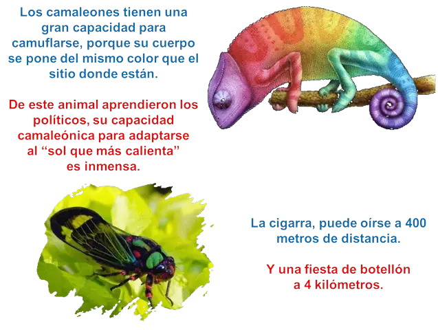 Sociedad