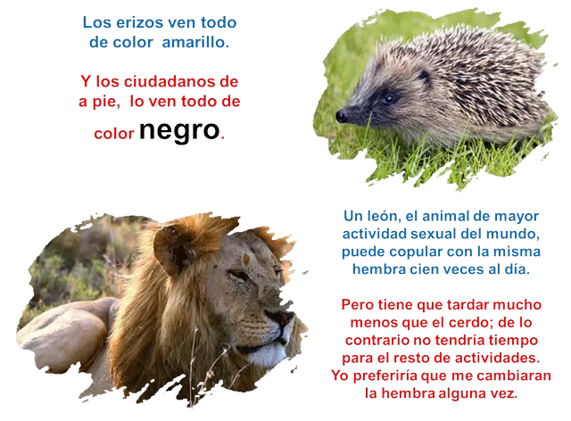 ciudadanos