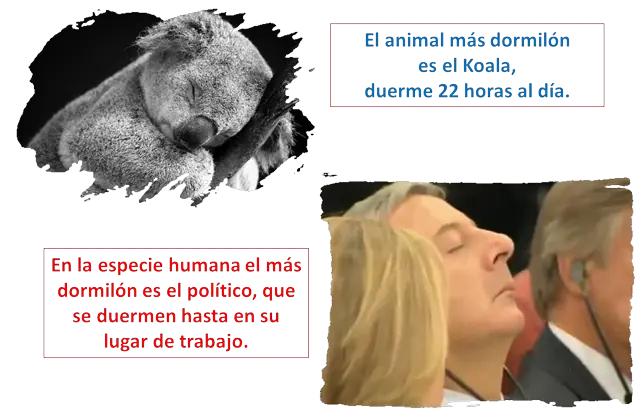 curiosidades