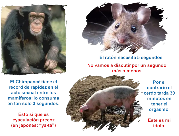politicos