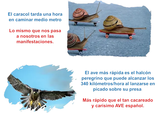 ciudadanos