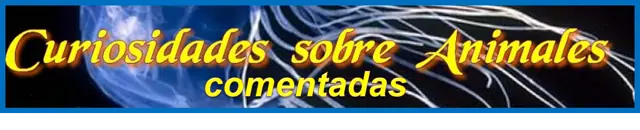 Sociedad