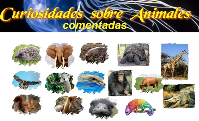 politicos