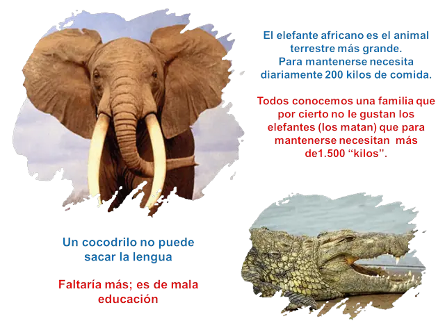 curiosidades