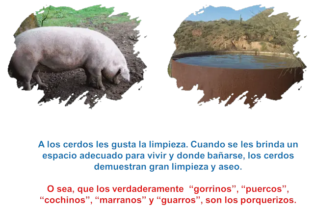 politicos