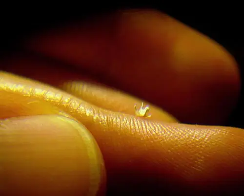 nano origami