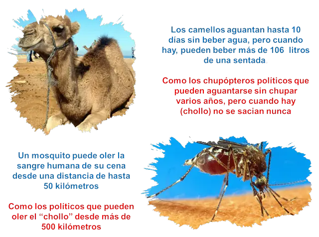 comentadas