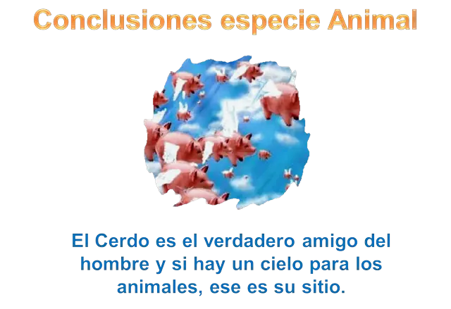 curiosidades