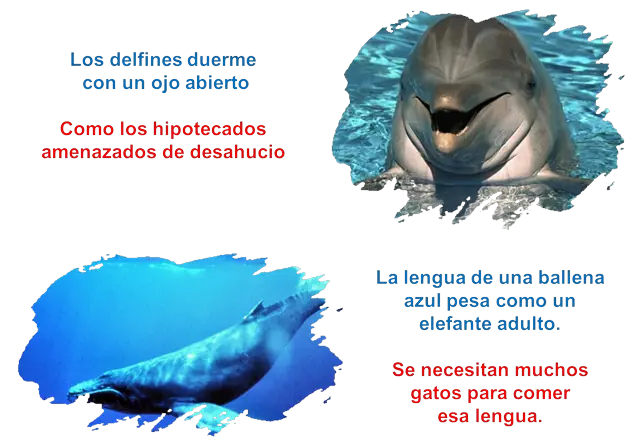 comentadas