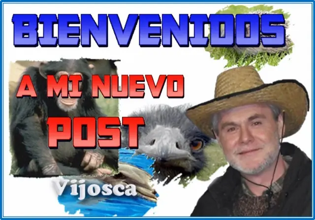 Curiosidades sobre animales comentadas