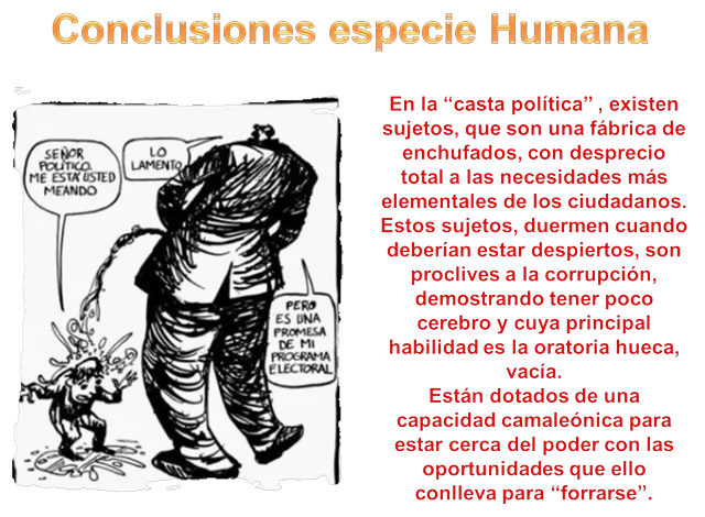 ciudadanos
