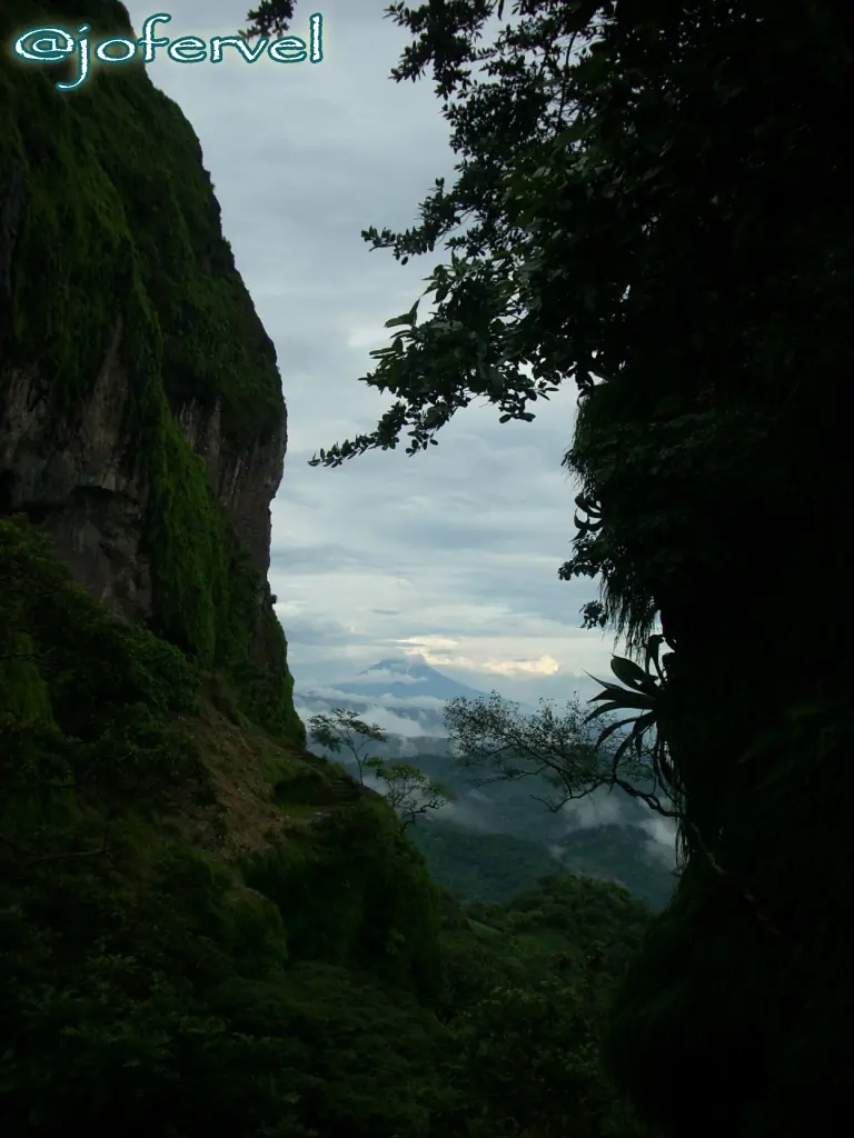 el salvador