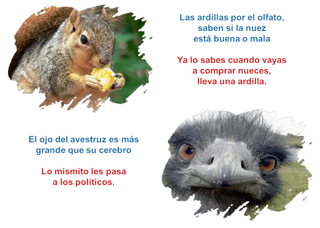 comentadas