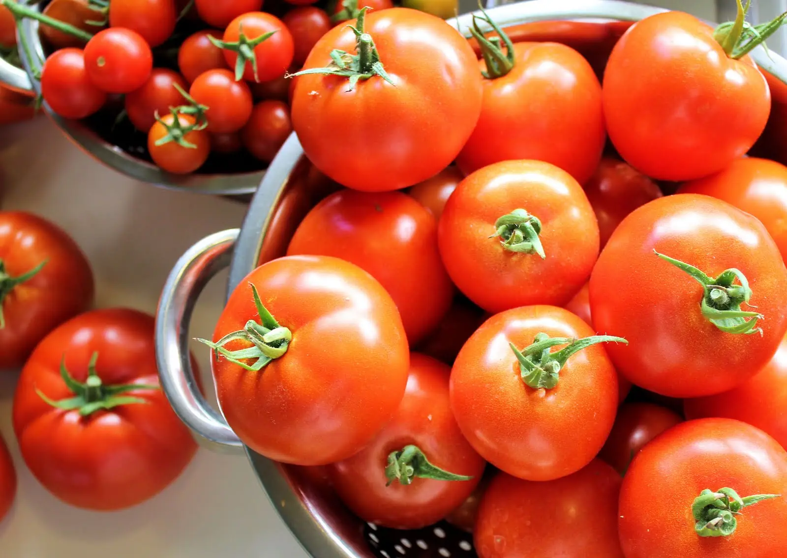 tomates