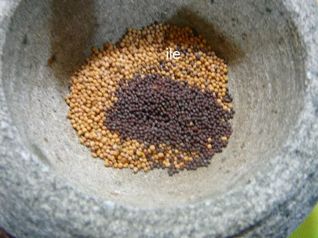 mostaza