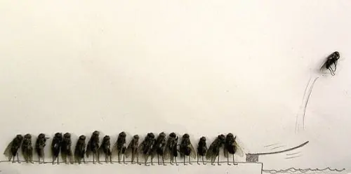 La vida de una mosca muerta