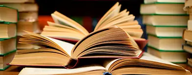 ¿Por qué cuesta más aprender de grande?