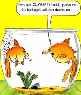 imagenes