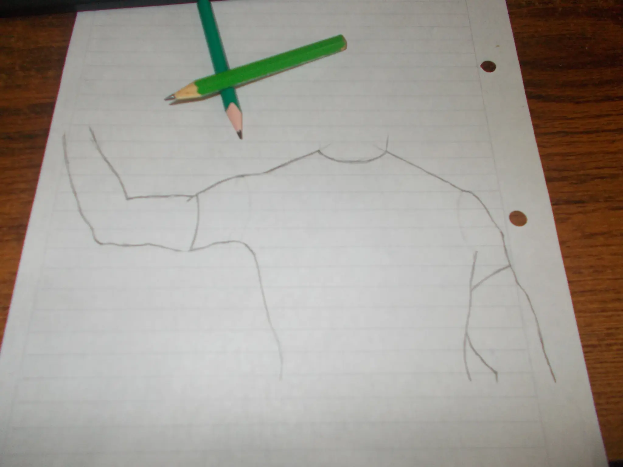 Dibujo a lapiz "Blacker"