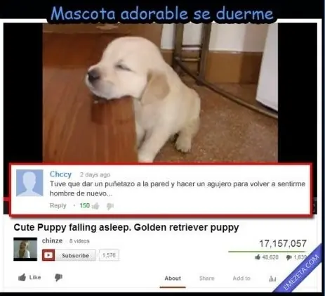 divertidos