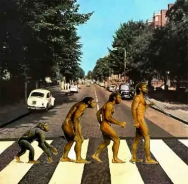 wachiturros