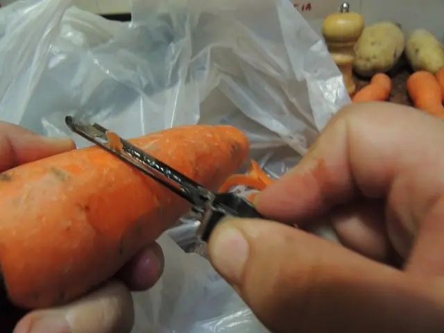zanahorias