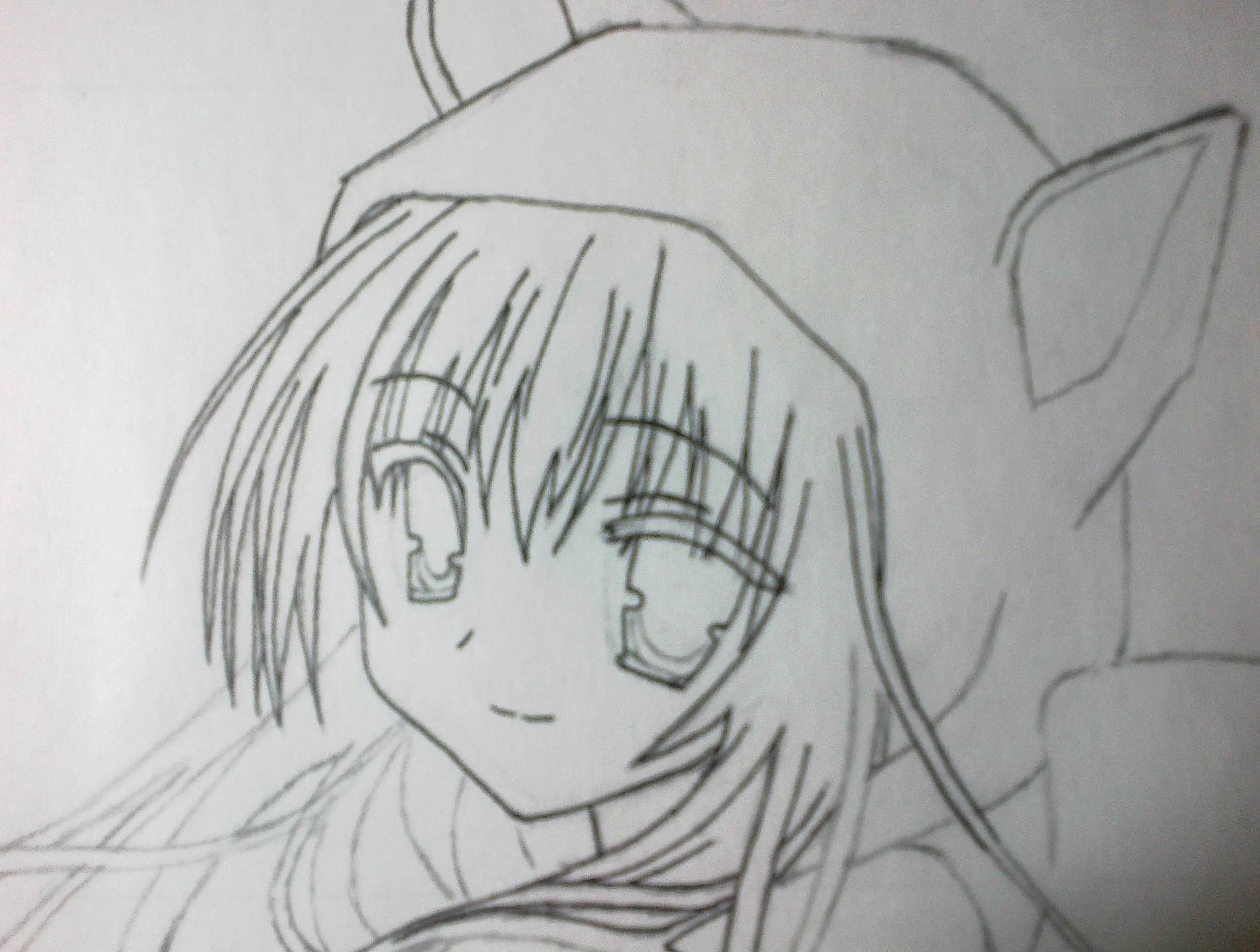 boceto