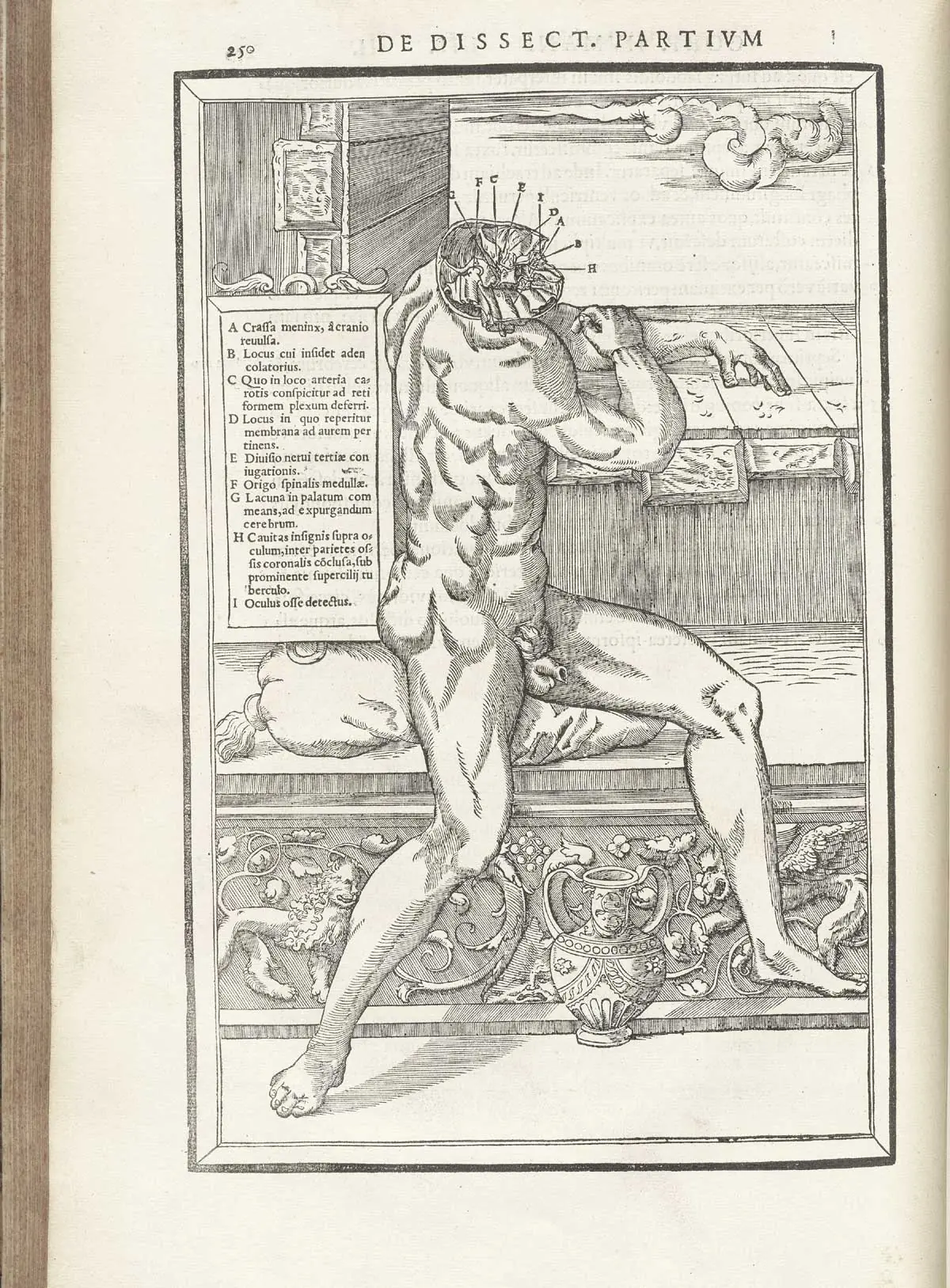 De dissectione partium corporis humani libri tres - 1545
