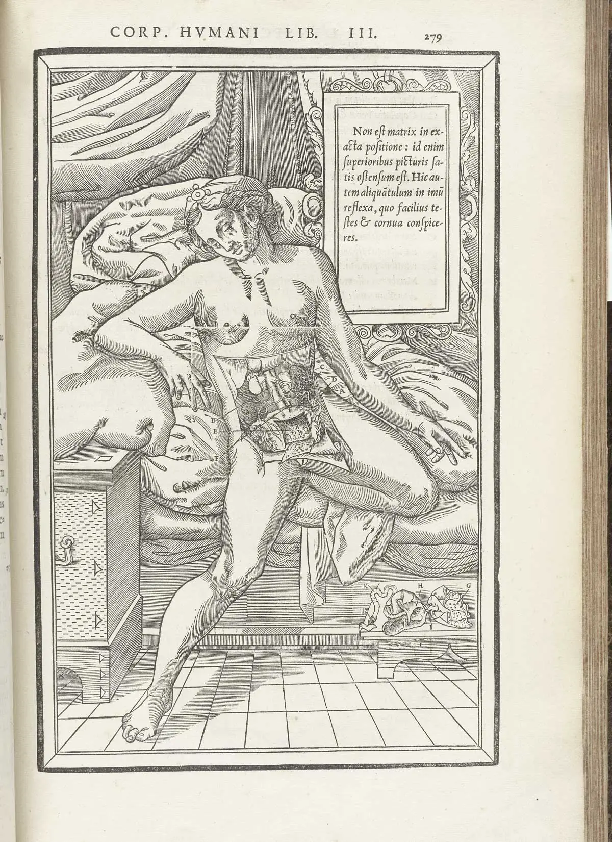 De dissectione partium corporis humani libri tres - 1545