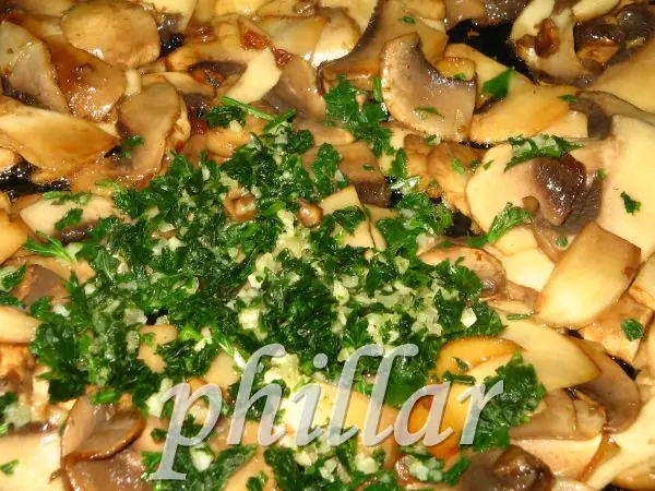 ( fotos-receta)