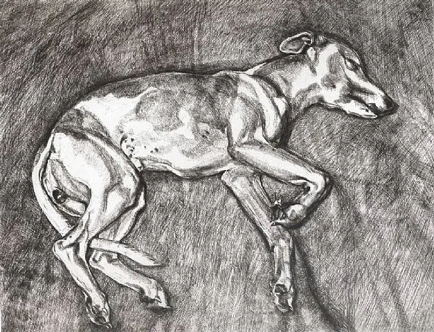 figurativo