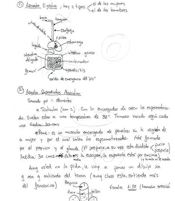 respuesta