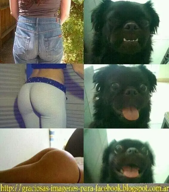 chistosas