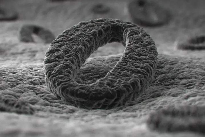 Puedes irte olvidando de Opera en GNU/Linux