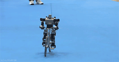 Gifs