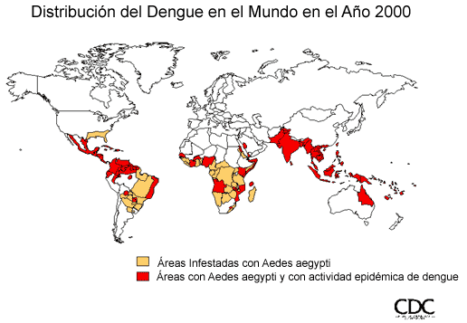 mosquitos