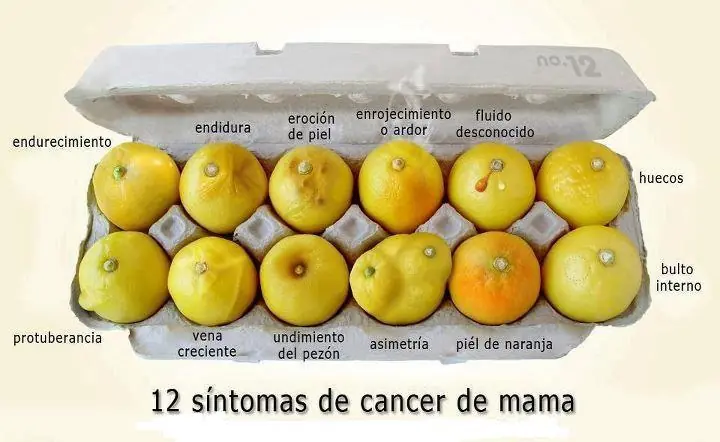 primeros auxilios