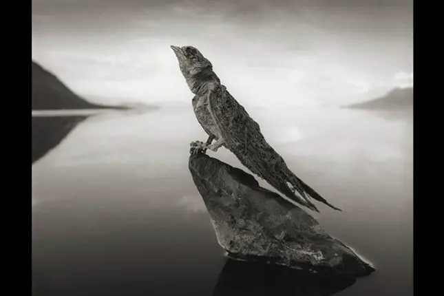 lago