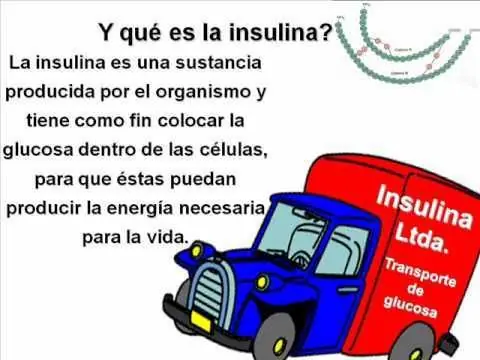 sistemas