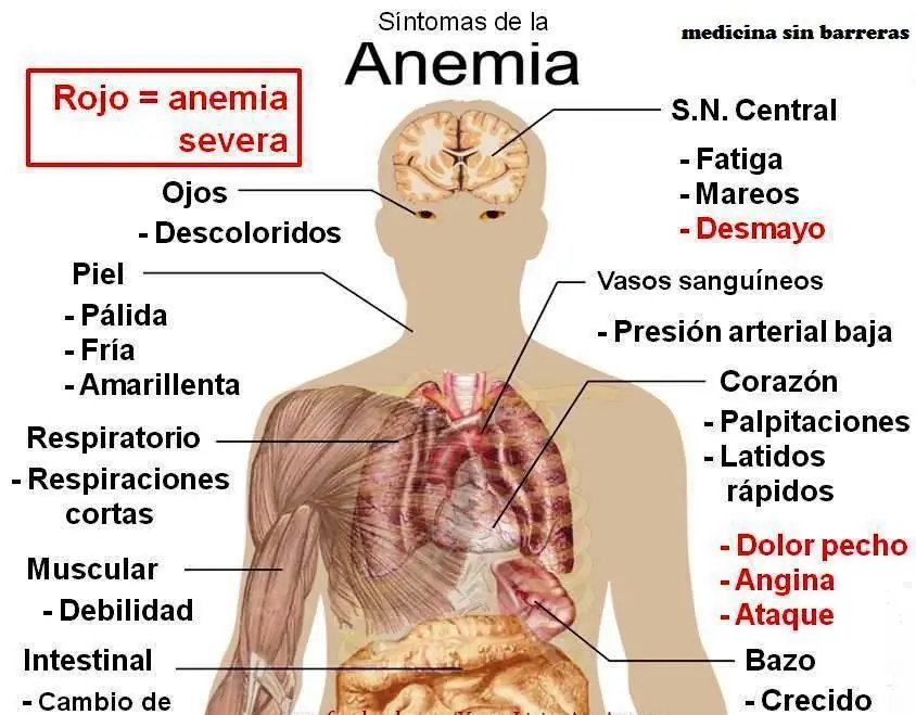 enfermedades