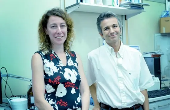 Perfeccionan una técnica de quimioterapia ocular