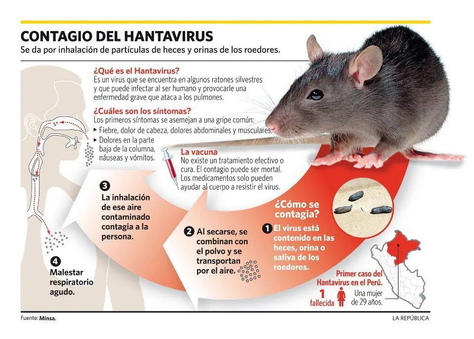 Conocé tu cuerpo.