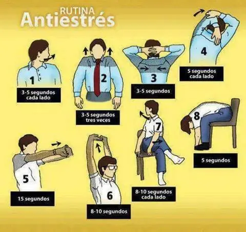 Conocé tu cuerpo.